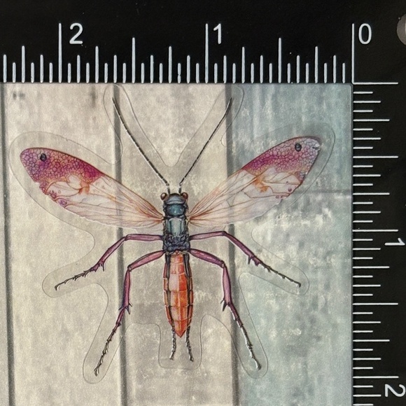 🌀10/$10🌀 Translucent Moth Dragonfly Beetle Reusable Waterproof Sticker Decal - Picture 1 of 1